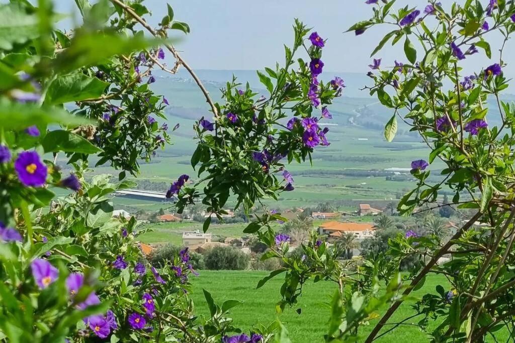 Suite Kolibri In Galilee Semadar 外观 照片