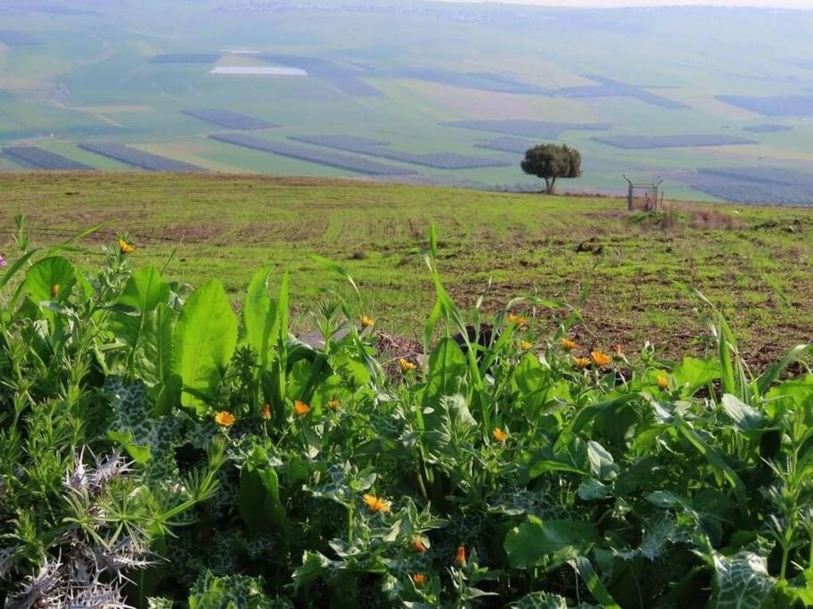Suite Kolibri In Galilee Semadar 外观 照片